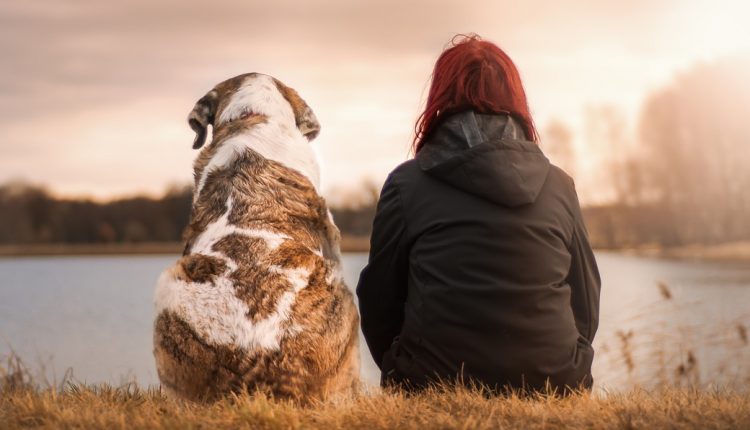 Mensch und Hund vereint: Auch ein Laie kann problemlos barfen