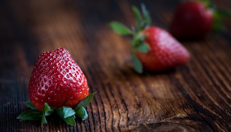 Futterverweigerung kann beim Barfen vorkommen: Nach und nach neue Lebensmittel wie Erdbeeren hinzufügen