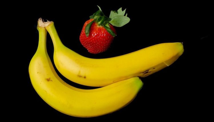 Den Hund vegan barfen: Sollen dann nur Erdbeeren und Banane auf dem Barf Plan stehen?