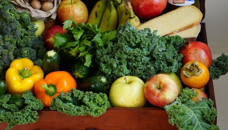 Obst und Gemüse für Hunde? Eine bunte Mischung darf in den Futternapf